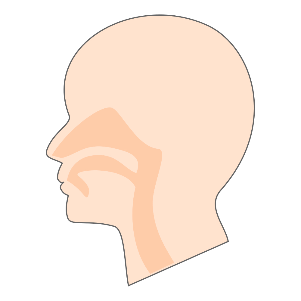 鼻中隔弯曲症　鼻づまりの手術　体験記