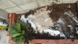 家庭菜園　ミニ畑　石灰　肥料